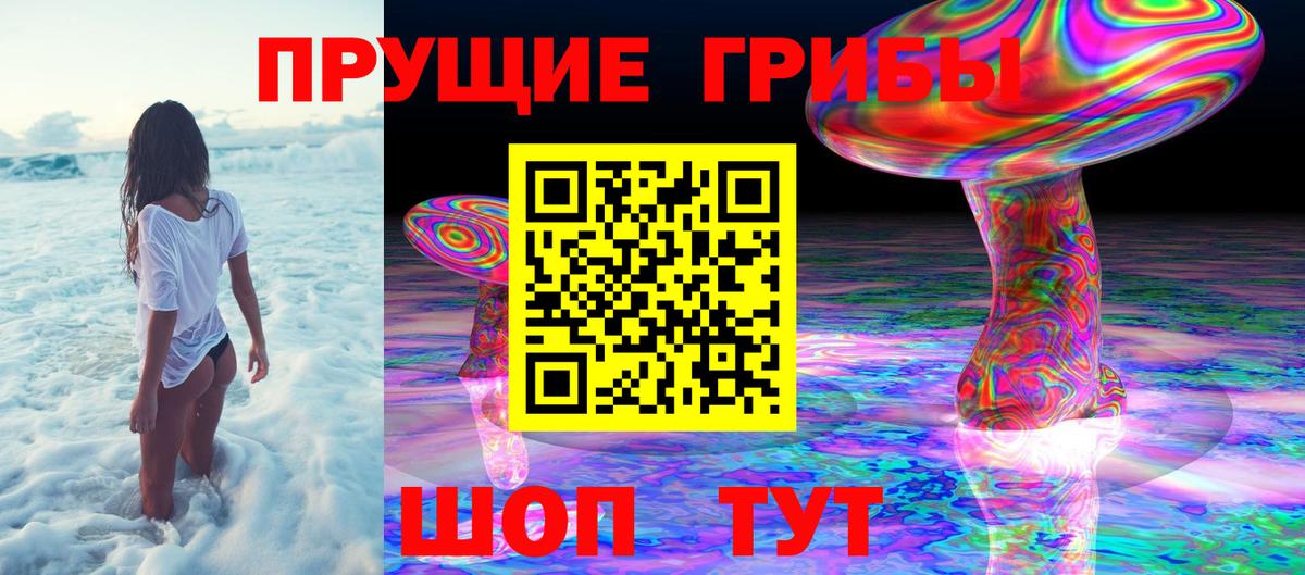 Псилоцибиновые грибы Psilocybe  Вход с VPN  Амурск  Псилоцибиновые грибы Psilocybe 